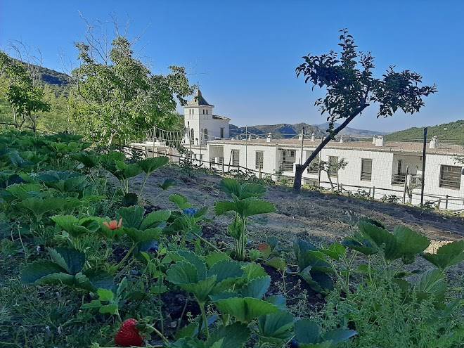 Hotel Nueva Alcazaba Image