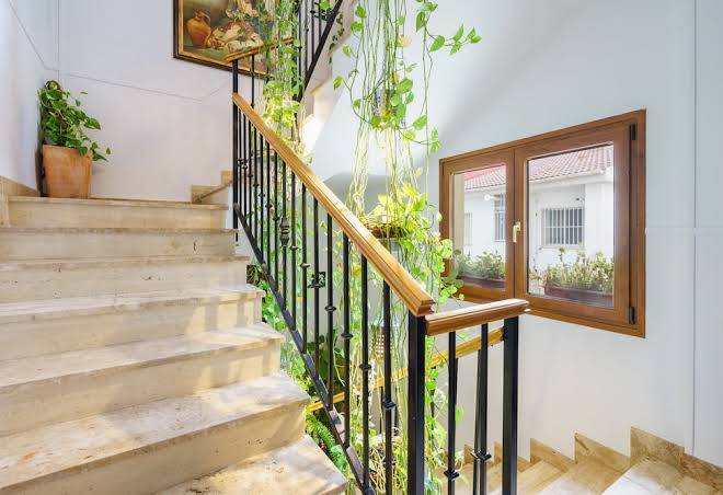 Hotel reina mora