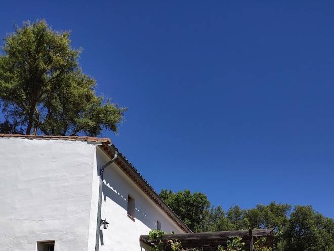 Finca buenvino