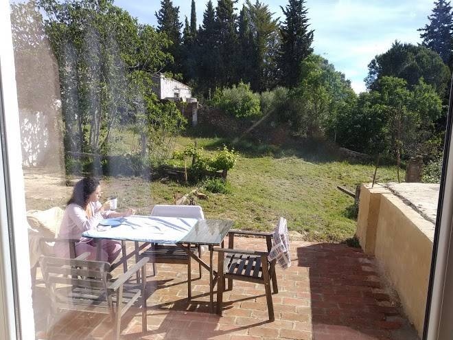 Los gallos alojamiento rural