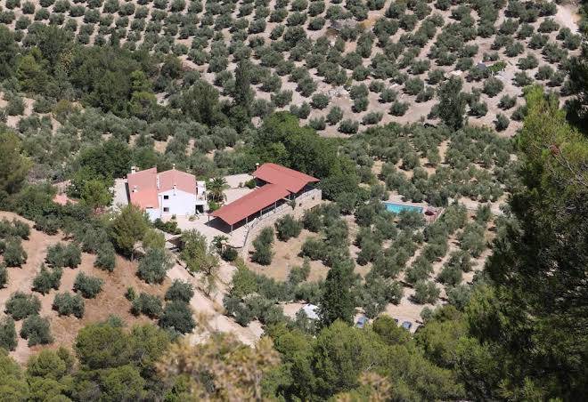 Complejo rural cortijo el marques