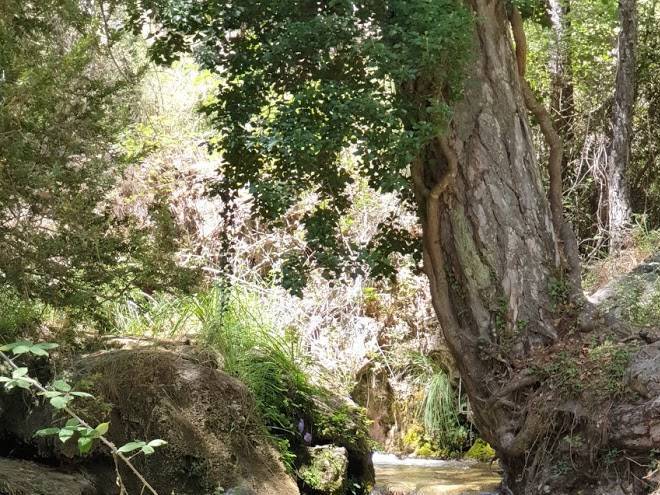 Cueva alicia