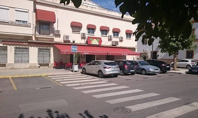 Las palmeras