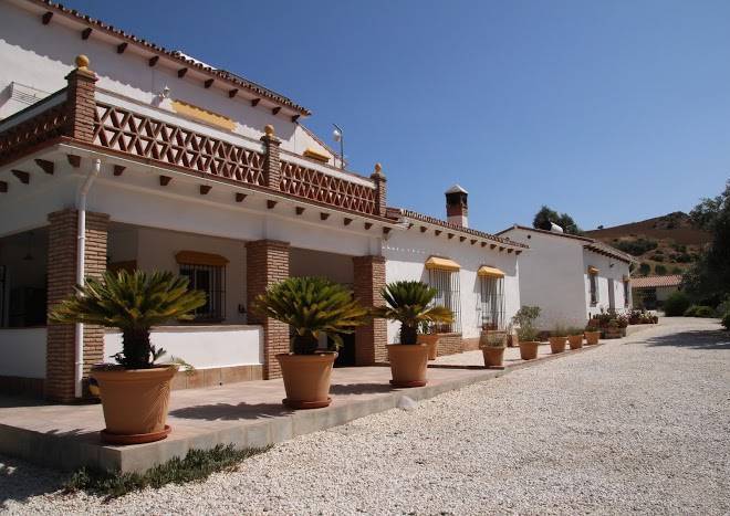 B&b finca el limonar