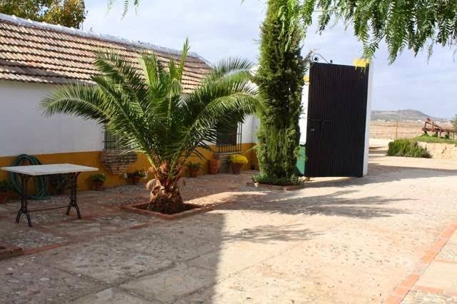 Cortijo jabonero