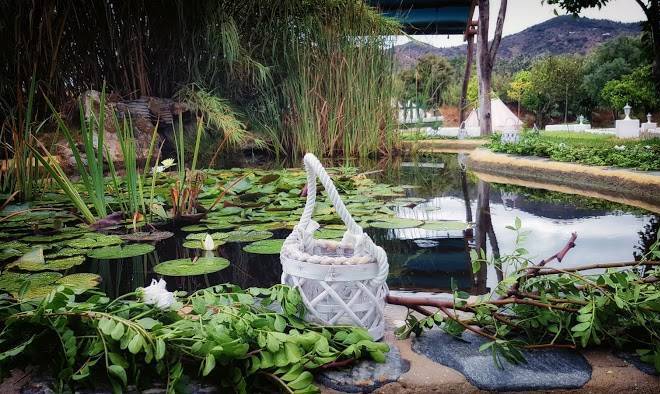 Finca al limon ecolodge