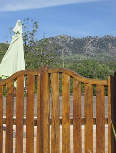 Finca la rana verde