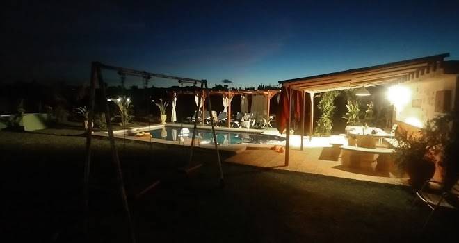 Finca las palmeras