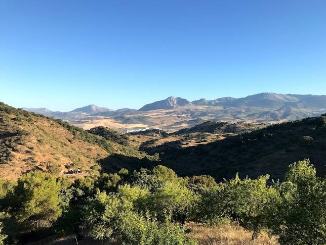 La cuadra