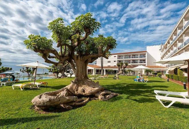 Parador de nerja