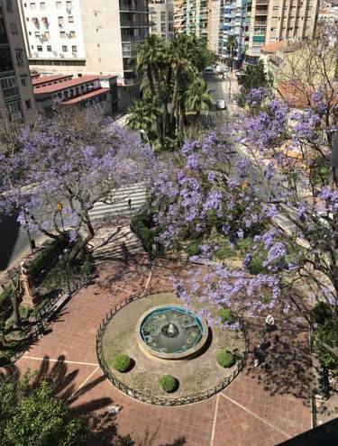 Special downtown malaga