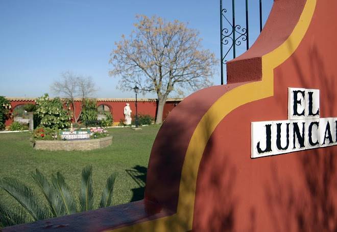 Hotel el juncal
