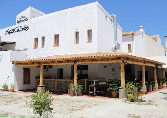 Hotel entreolivos