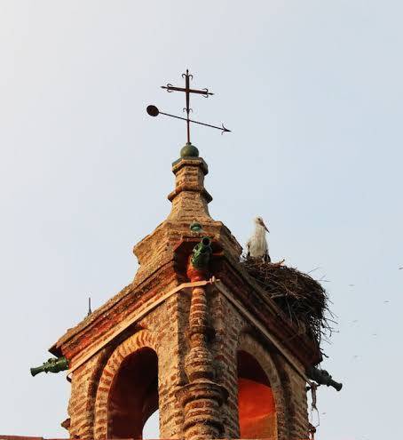 Palacio De San Benito Image