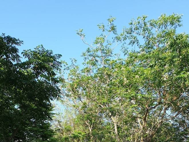 Villsomtur S L Image