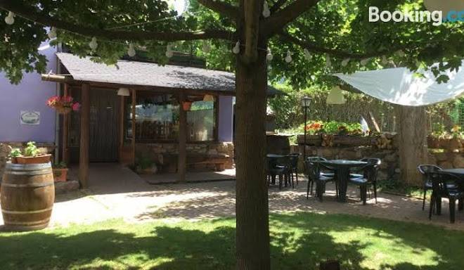 Albergue pajaro loco
