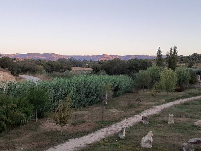 Hort de l'aubert