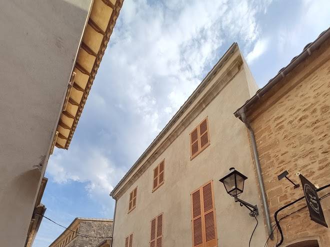 Ara alcudia