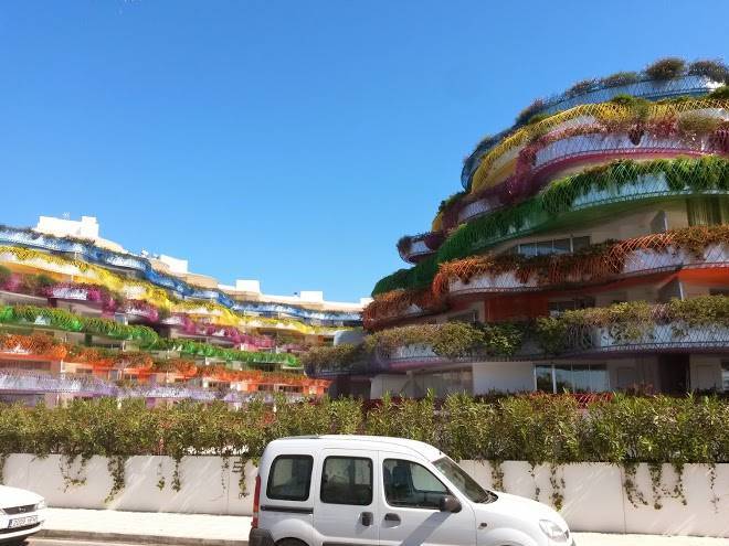 Ceibo ibiza