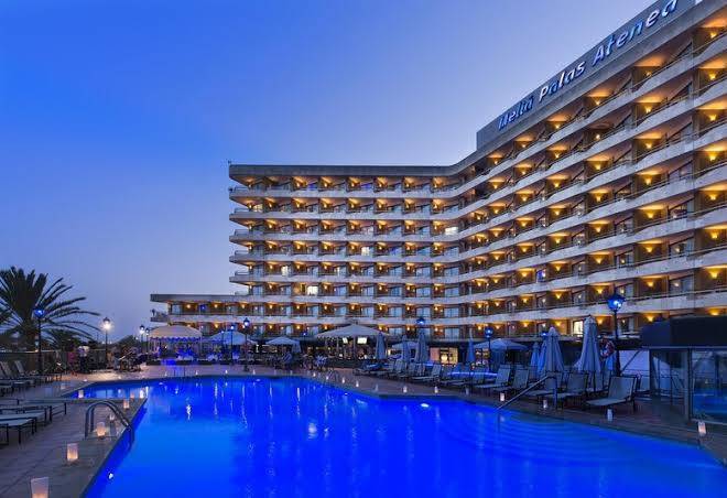 Melia palma marina