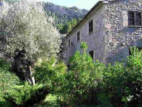 Agroturismo s'olivar