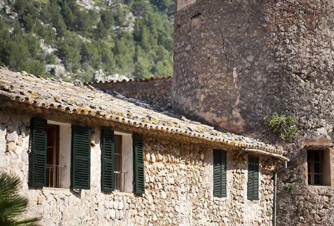 Balitx d'avall