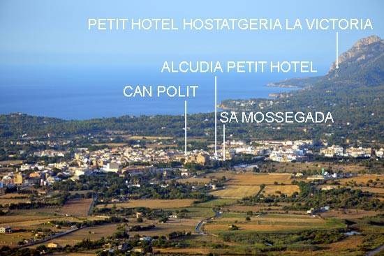 Can polit tapas