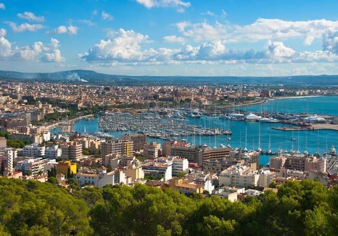 Central palma
