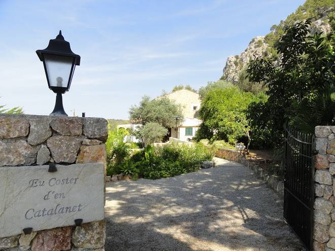 Coster catalanet