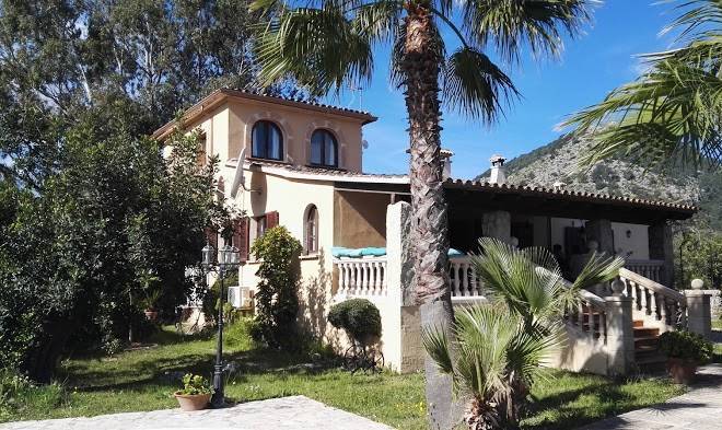 Finca olivar