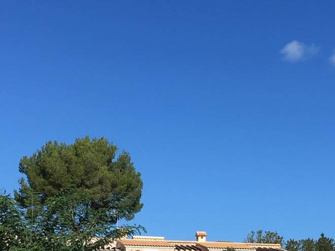 Finca s' hort de sa begura
