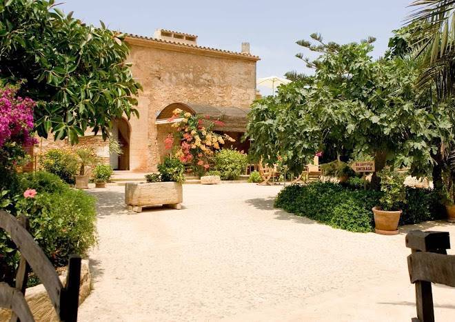 Finca sa carrotja