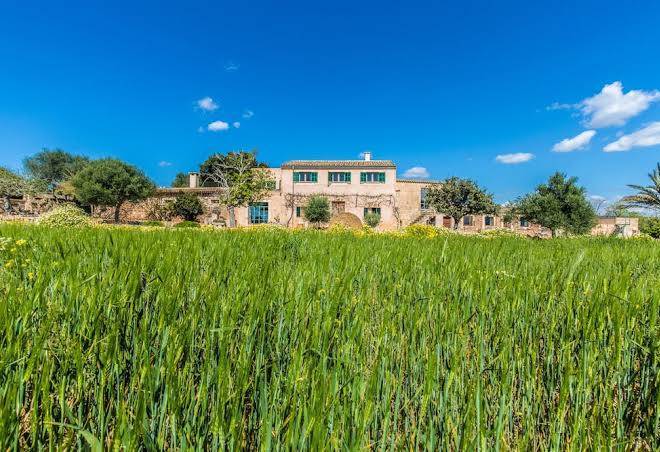 Finca sa cova den borino