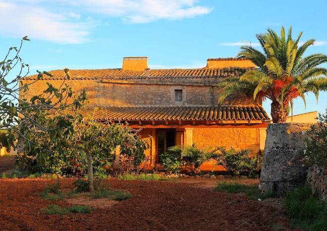 Finca sa punta