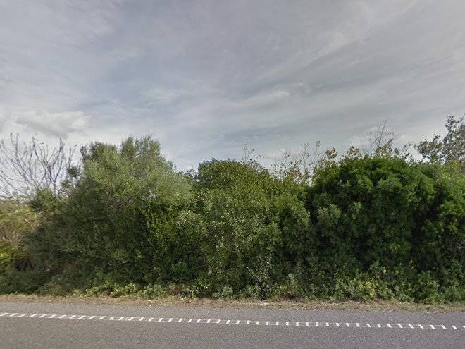 Finca son martorellet