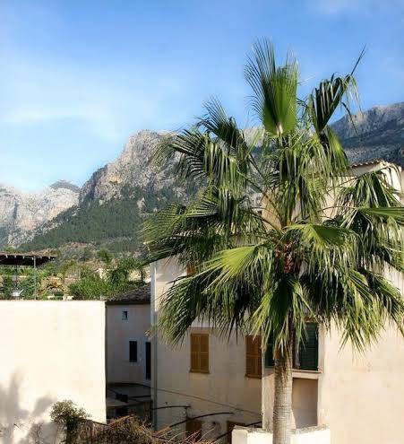 Hotel ca'n abril