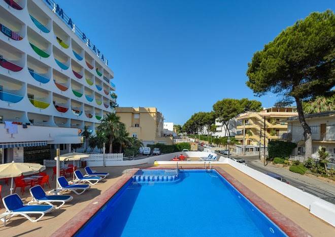 Hotel playasol palma cactus