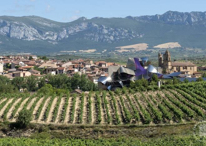 Bodegas valdelana vinos de rioja
