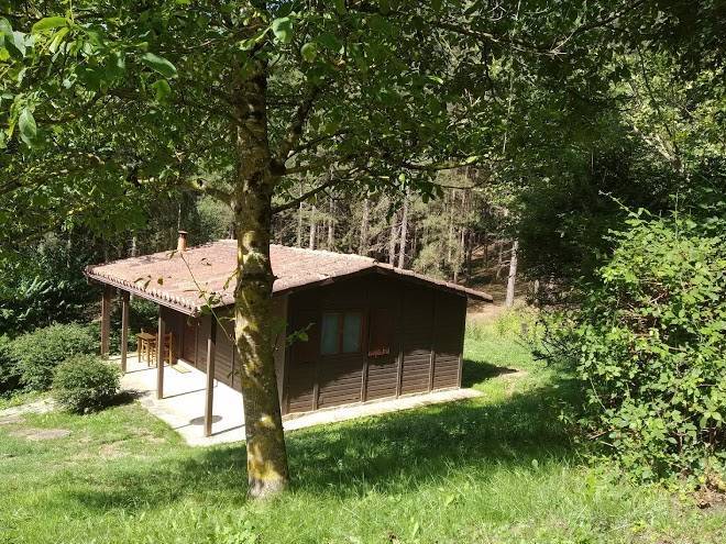 Cabanas en los arboles