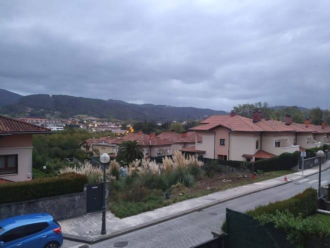 Iparra txiki berri