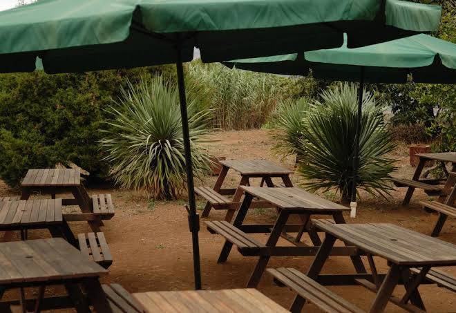 Aula de la naturaleza la laurisilva