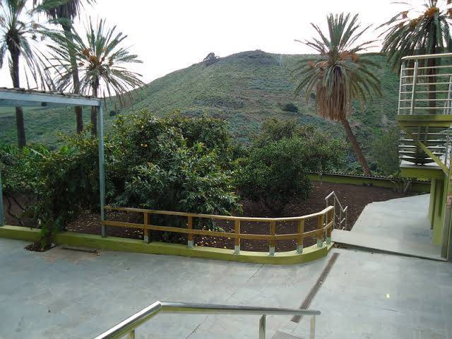 Holidays flat finca oasis