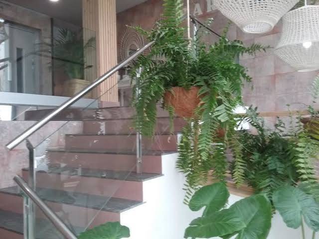 Hotel Residencia Cardona Image