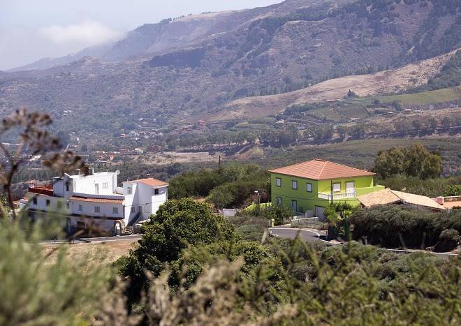 La higuera