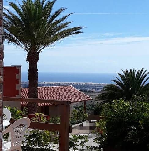 The black horse canarias