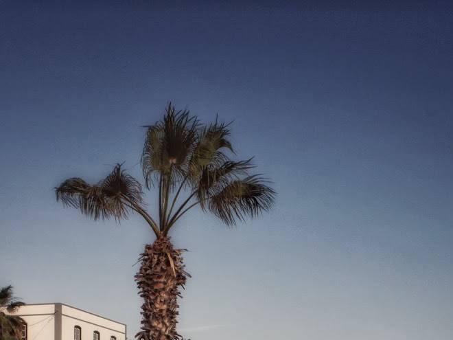 El poris tenerife
