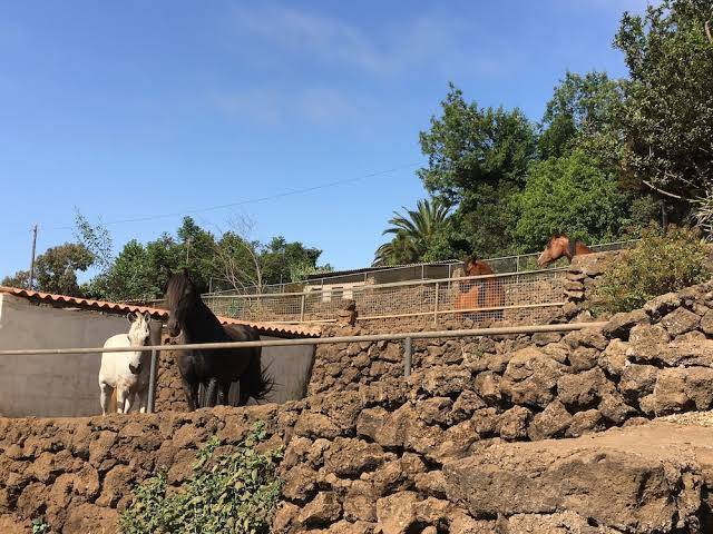 Finca alibaba