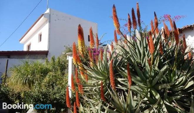 Finca florida teneriffa