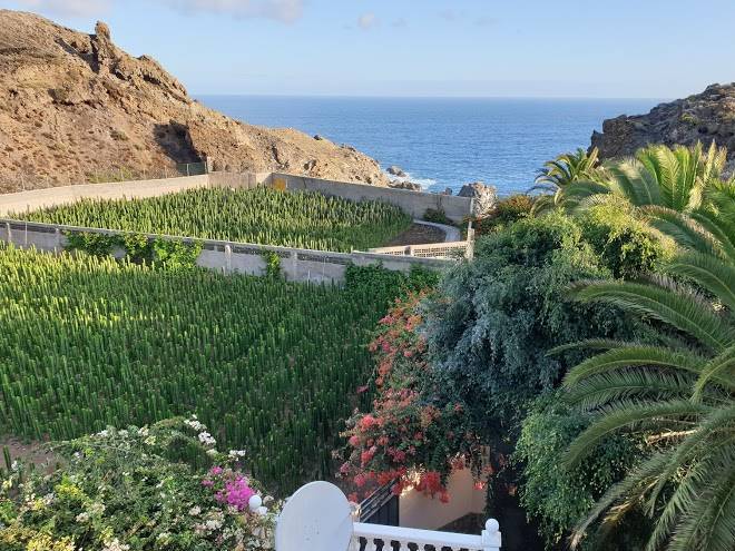 Finca la punta
