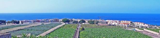 Finca las damas